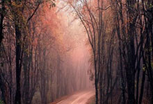 库巴西：亚马尔只需4次触球就能改变比赛，我在训练中领教过.