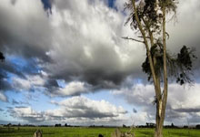 主客场对热刺都有进球，恩佐是切尔西26年来中场第一人.