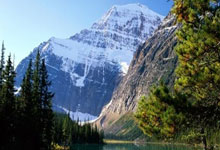 拳击被纳入2028年洛杉矶奥运会正式比赛项目央视新闻客户端.